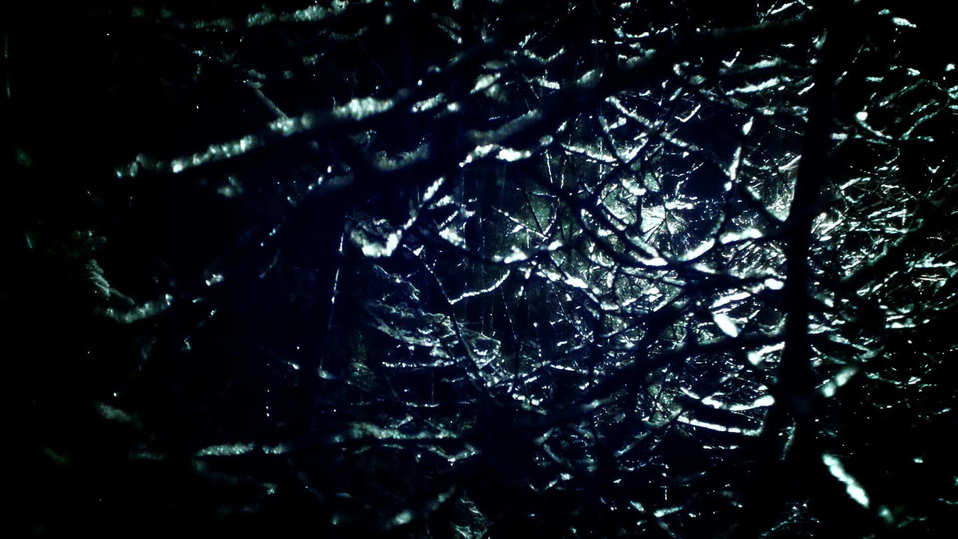 世界体能训练示范赛:功能性训练纳入赛事评价体系,体能训练比赛